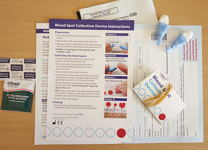 blood spot collection device and instructions