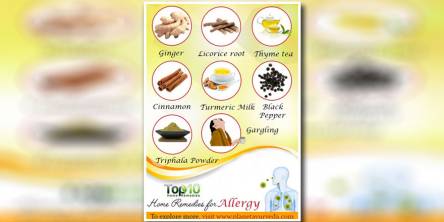Best 10 Home Remedies for Seasonal Allergies