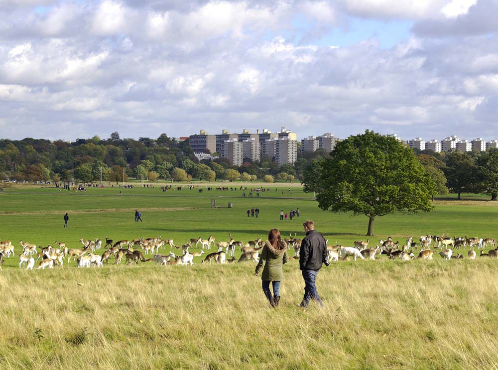 5-reasons-Britains-favourite-nature-presenter-uses-walking-as-therapy-richmond-park