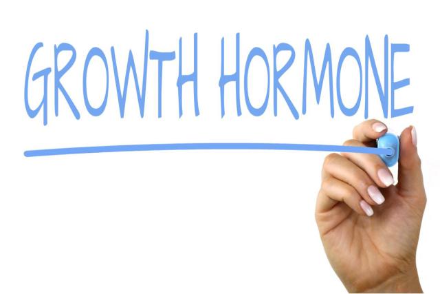 All About Human Growth Hormones