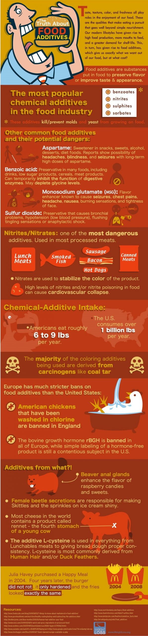 The Truth About Food Additives Infographic