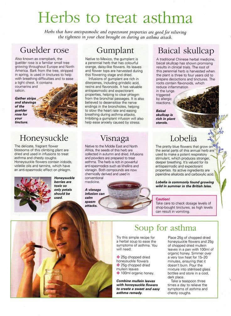 Herbs To Treat Asthma Infographic